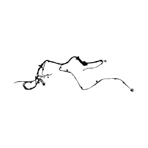 Front Door Wiring Harness (Right) for BYD Yuan PLUS, OE 17566748-00, SC2EV-4002200E - EVParto