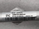 Tubo de descarga del compresor de aire acondicionado para Fangchengbao Bao 5, OE 16131196-00, SFHC-8108210 - EVParto (otras vistas)