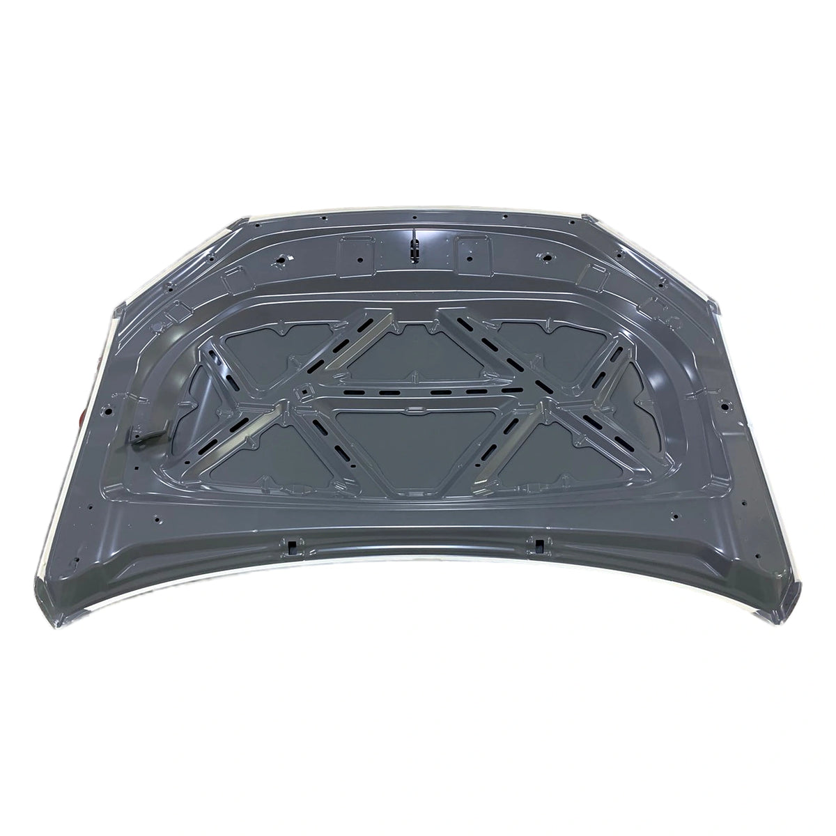 Bonnet Assembly for BYD e3, OE 12818316-00, EL-8402010/77 - EVParto (additional views)
