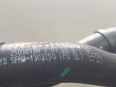 Coolant Pipe Assembly for Fangchengbao Bao 5 & Dolphin, OE 17253927-00, SFHW-1303250 - EVParto (additional views)