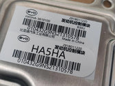 Motorsteuergerät ECU für BYD Qin PLUS DM-i, OE 14752426-00, HA5HA-3610100 - EVParto (weitere Ansichten)