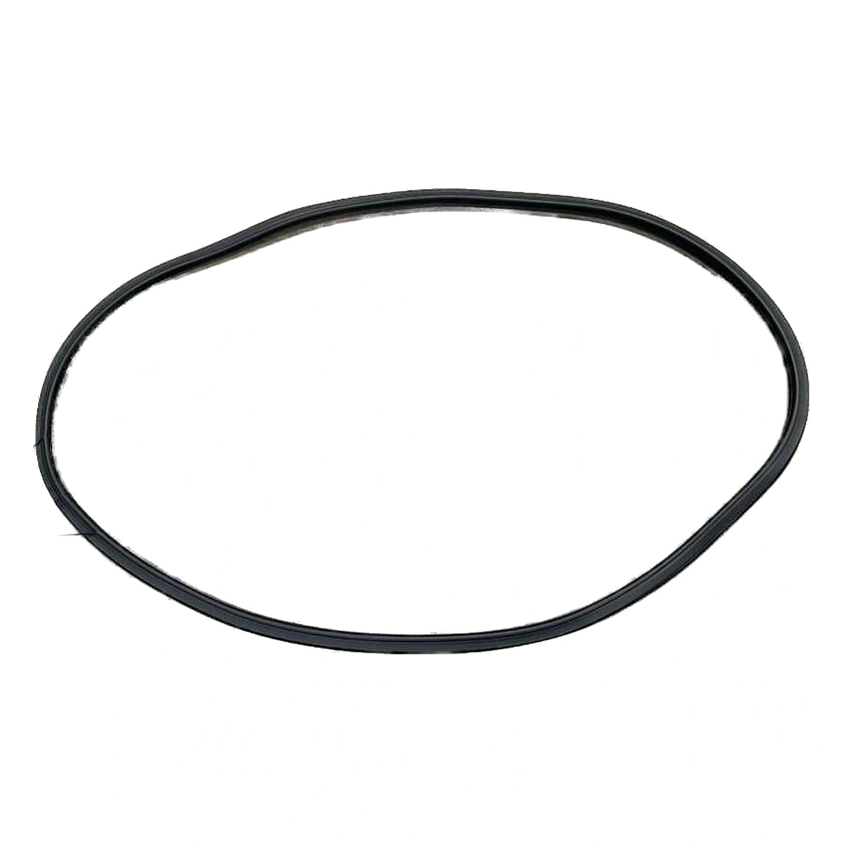 Türrahmendichtung, vorne links für BYD Seal 05 DM-i, OE 14161657-00, HAD-5407111A - EVParto