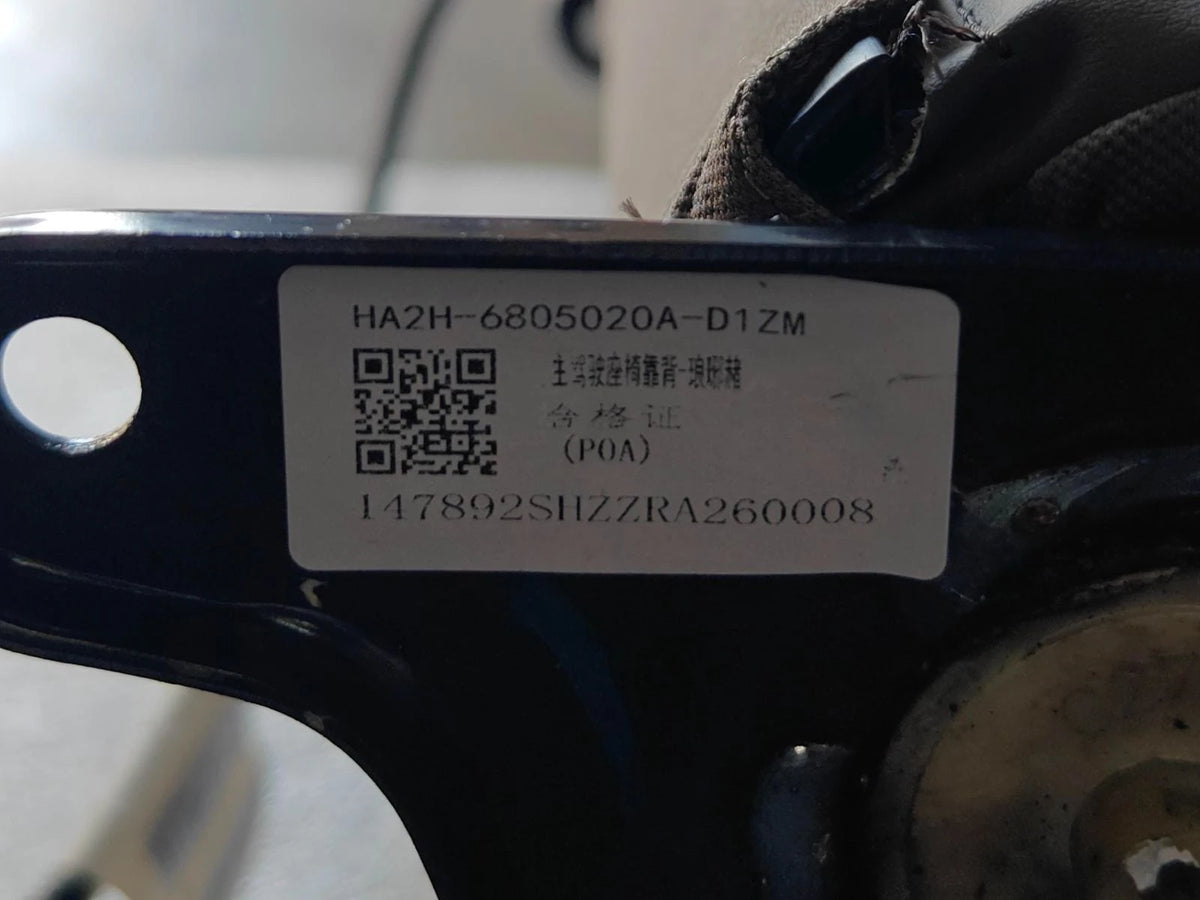 Front Seat Backrest (Driver) for BYD Qin PLUS EV, OE 17189212-00, HA2H-6805020A-D1ZM - EVParto (additional views)