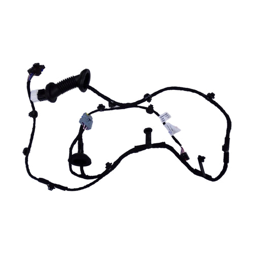 Left Rear Door Wiring Harness for BYD Yuan Pro, OE 12624543-00, SCEN-4002300 - EVParto