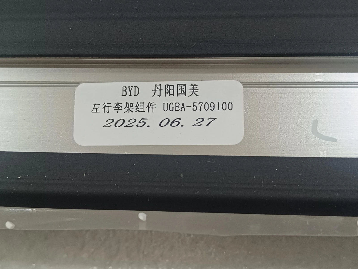 Dachreling links, komplett für BYD Sealion 06, OE 16966594-00, UGEA-5709100 - EVParto (weitere Ansichten)