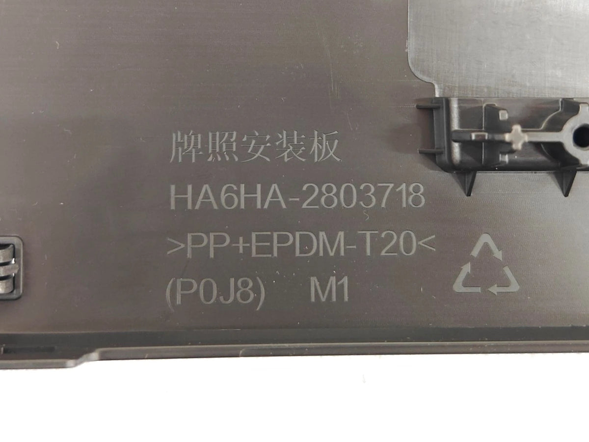 Kennzeichenhalter für BYD Seal 05 DM-i, OE 15811304-00, HA6HA-2803718/92 - EVParto (weitere Ansichten)