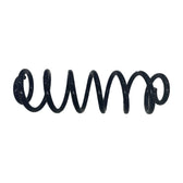 Rear Coil Spring for BYD Yuan Pro, OE 12843228-00, SCEG-2911111 - EVParto (additional views)