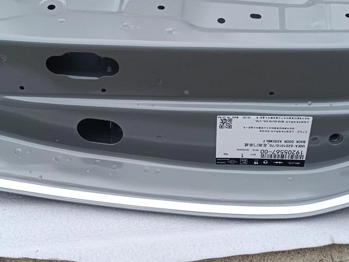 Rear Door Shell (Left) for BYD Sealion 06 EV, OE 19205567-00, UGEA-6201010/70 - EVParto (additional views)