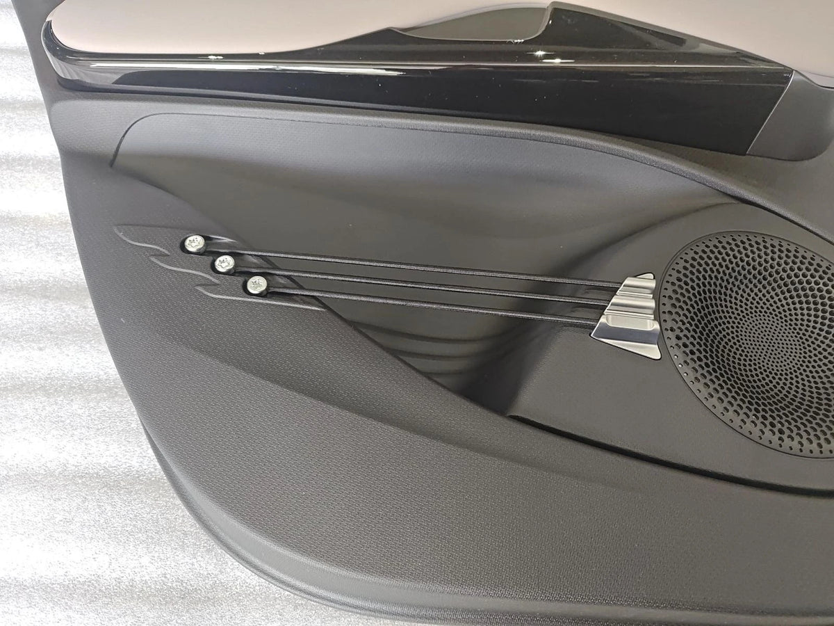 Rear Door Trim Panel (Left) for BYD Yuan PLUS, OE 16974094-00, SC2EV-6202001-00YAP - EVParto (additional views)
