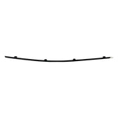 Rear Door Trim Strip (Right) for BYD Dolphin, OE 13235176-00, EM2E-5402740-00BX - EVParto