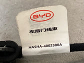 Kabelbaum, Tür hinten (links) für BYD Qin PLUS DM-i, OE 14682109-00, HA5HA-4002300A - EVParto (weitere Ansichten)