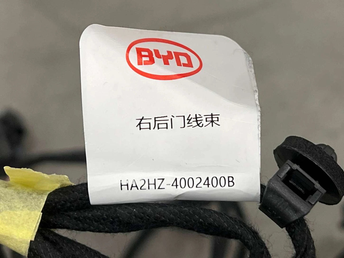 Kabelbaum, Tür hinten rechts für BYD Qin PLUS DM-i, OE 13901739-00, HA2HZ-4002400B - EVParto (weitere Ansichten)