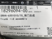 Tailgate Shell for BYD Tang L EV & Tang L DM, OE 18296094-00, SRHA-6301010/70 - EVParto (additional views)