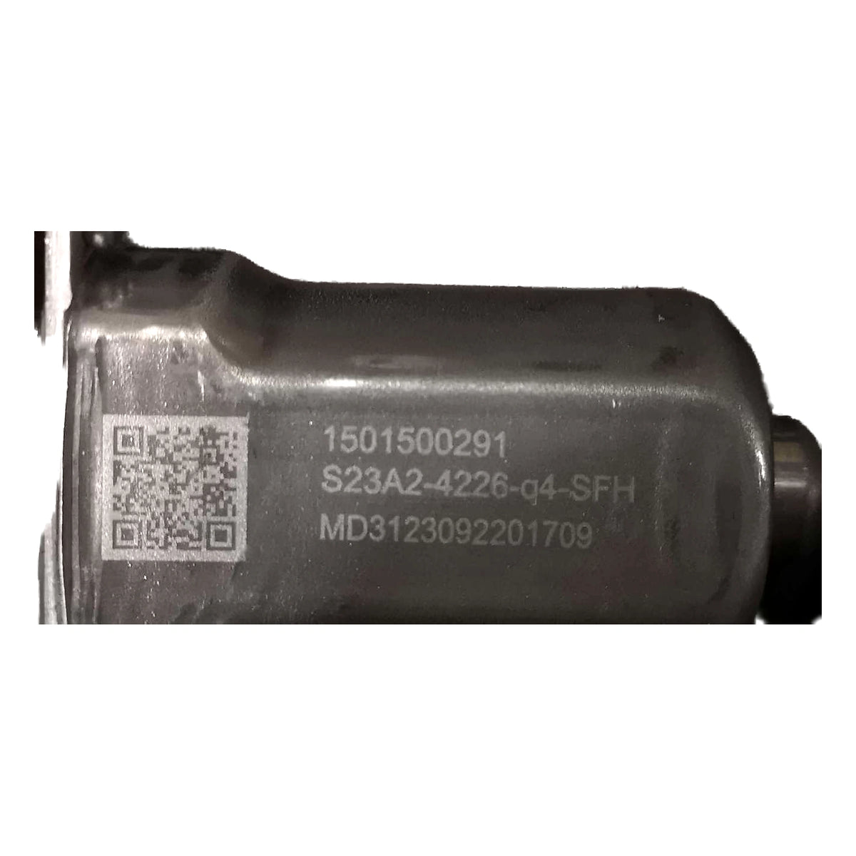 Rear Door Module (Right) for Fangchengbao Bao 5, OE 13992030-00, SFH-6204209 - EVParto (additional views)